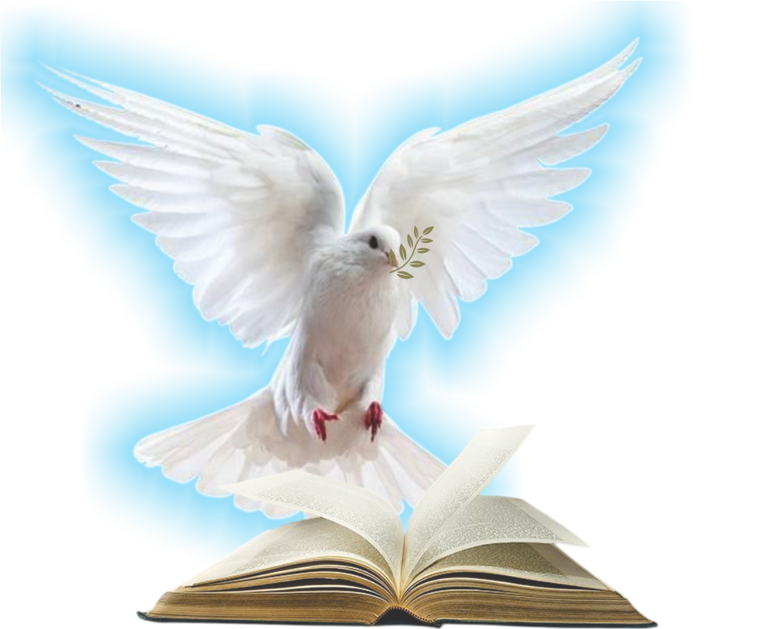 Iglesia Avivamiento Cristiano